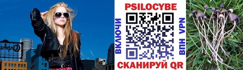 Галлюциногенные грибы прущие грибы  Дыгулыбгей 